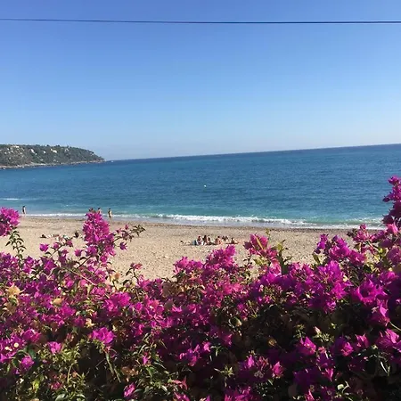 Cap D.azur