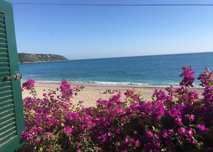 Cap D.azur